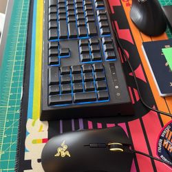Razer Ornate Chroma Keyboard and Deathadder Elite Mouse