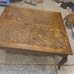 Tortoise Shell Coffee Table