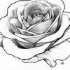 B.Flowers