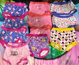 Size 3T Potty Training Undies