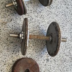 Set Of Curl Bars With 70lb Of Weight