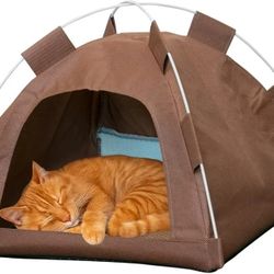 Cat Tent house 