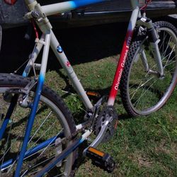 Atlanta Olympics Bicycle