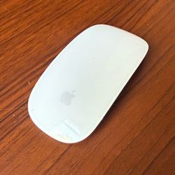 Apple Wireless Magic Mouse