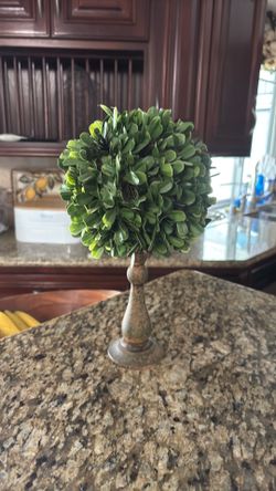 Pottery Barn Topiary Tree