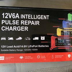 Brand New…never Used…12V6A intelligent Pulse Repair Charger 