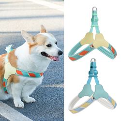 Colorful Striped Dog Harness: Breathable Mesh, Adjustable, Double D - Ring