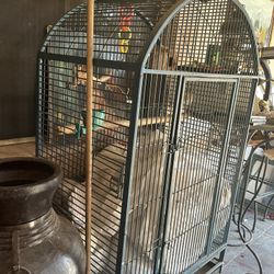 Parrot Or bird Cage 