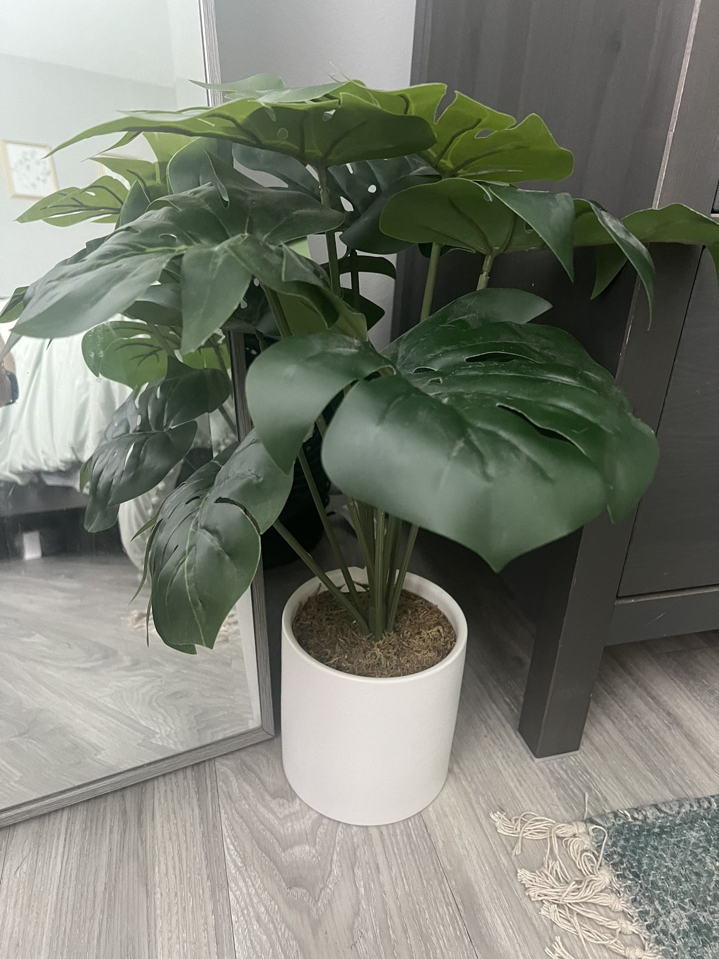 Fake Monstera Plant! 