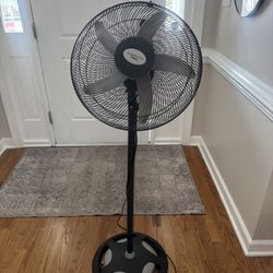 Standing Oscillating Fan
