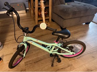 Gaurdian 16inch Bike