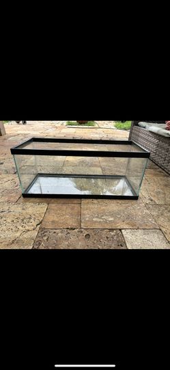 20 gallon tank