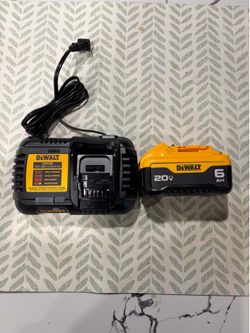 DeWalt DCB206 20V MAX 6AH Battery and DCB1106 6 amp Charger