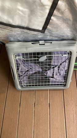 Gray Hard-Sided Pet Travel Carrier Crate