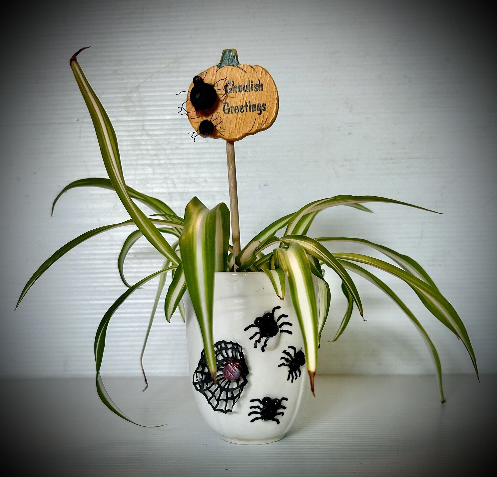Spider Plant with Halloween Decorated Vase Tap See More for All Info