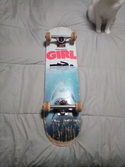 Skateboard