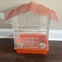 Bird Cage 