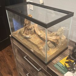 Fish Tank 