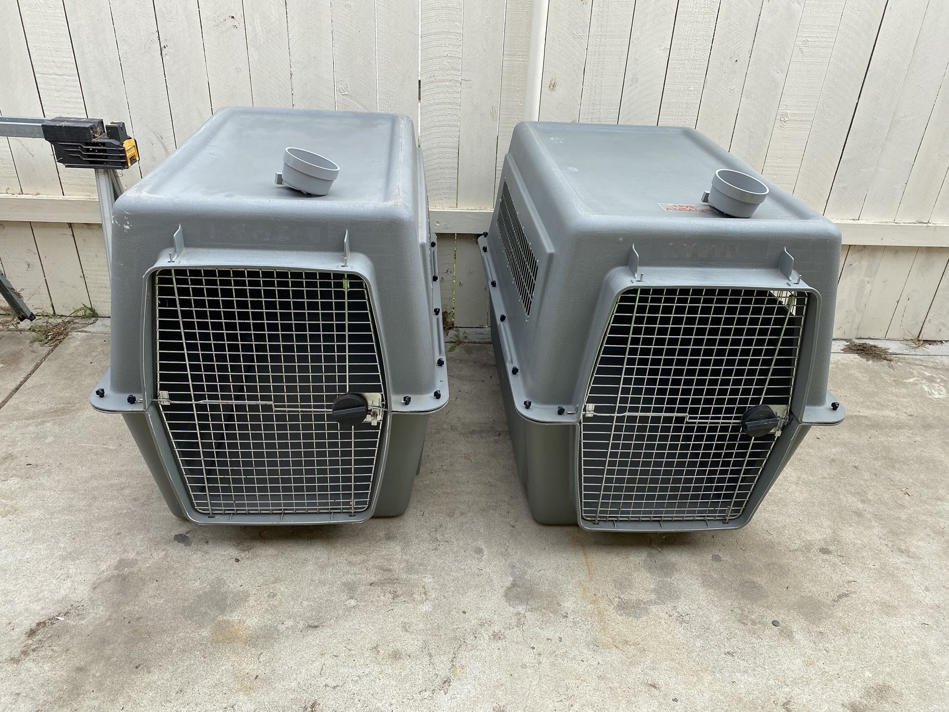 Dog Kennels