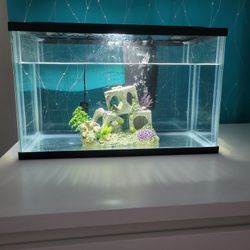 Fish Tank