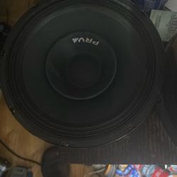 4 -10fr300 Prv Mid Bass Speaker 
