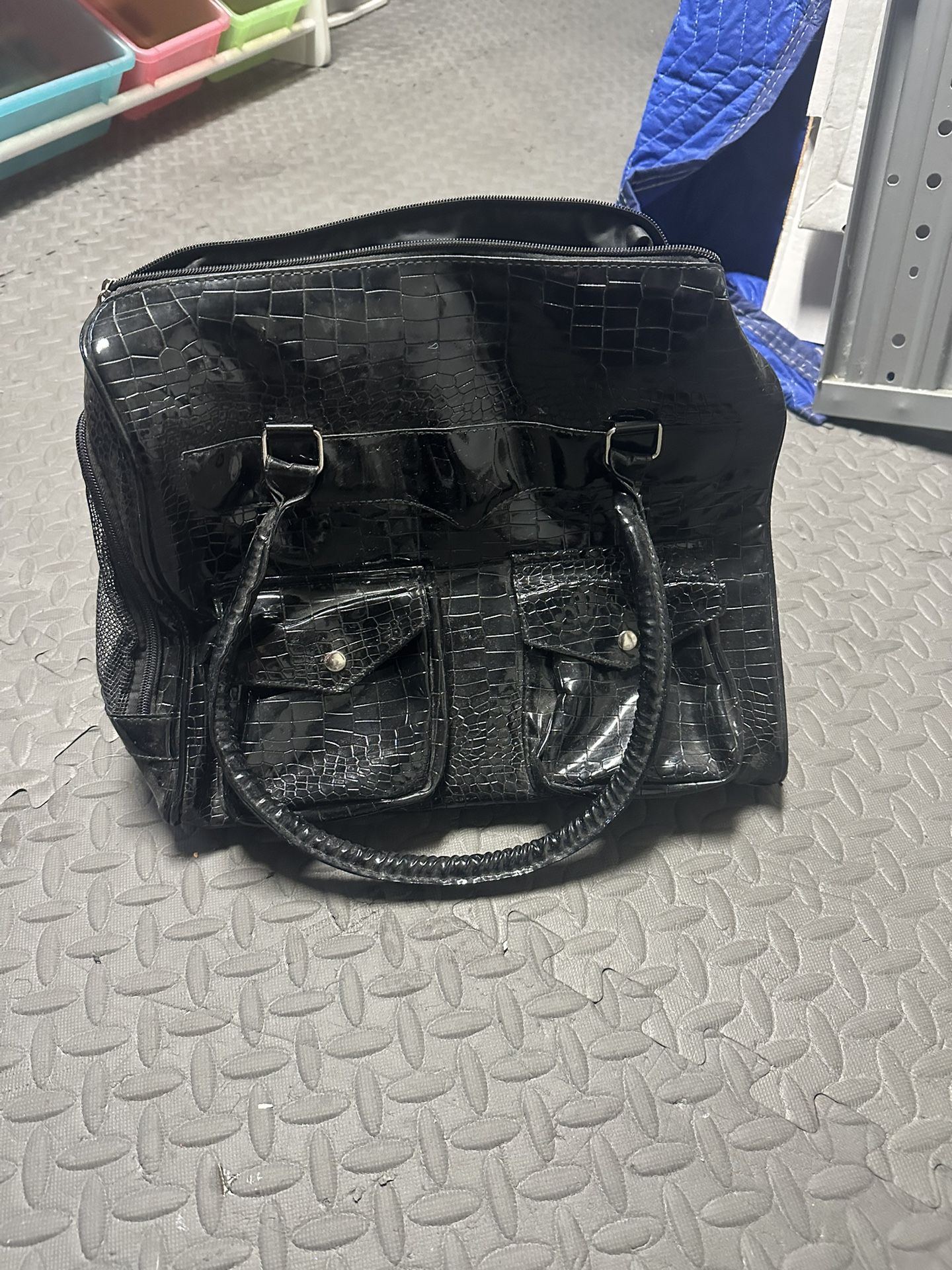 Stylish Dog Carrier