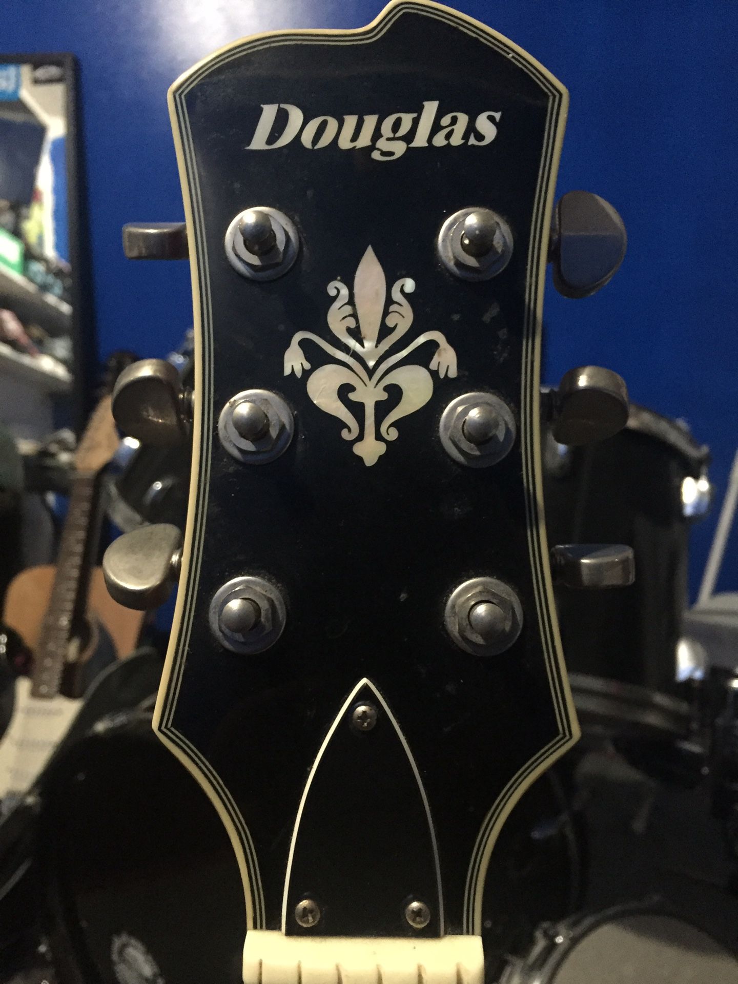 Douglas hollow body guitar deals