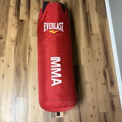 Everlast MMA 70 Lb Punching Bag