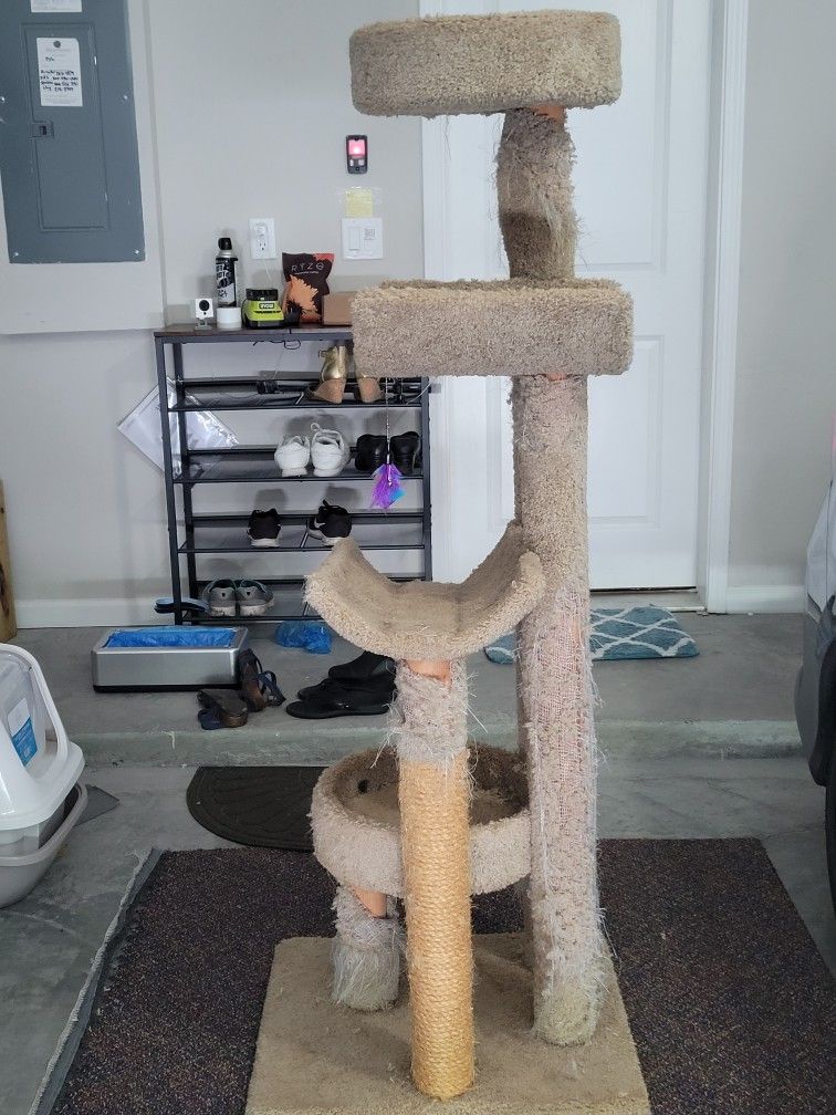 Cat Items For Sale