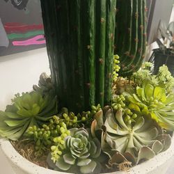 Plant, Faux Cactus With Succulent. Some Cracks in Pot And Ine Leg Needs Fixing 