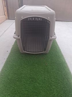 Great choice pet carrier $30