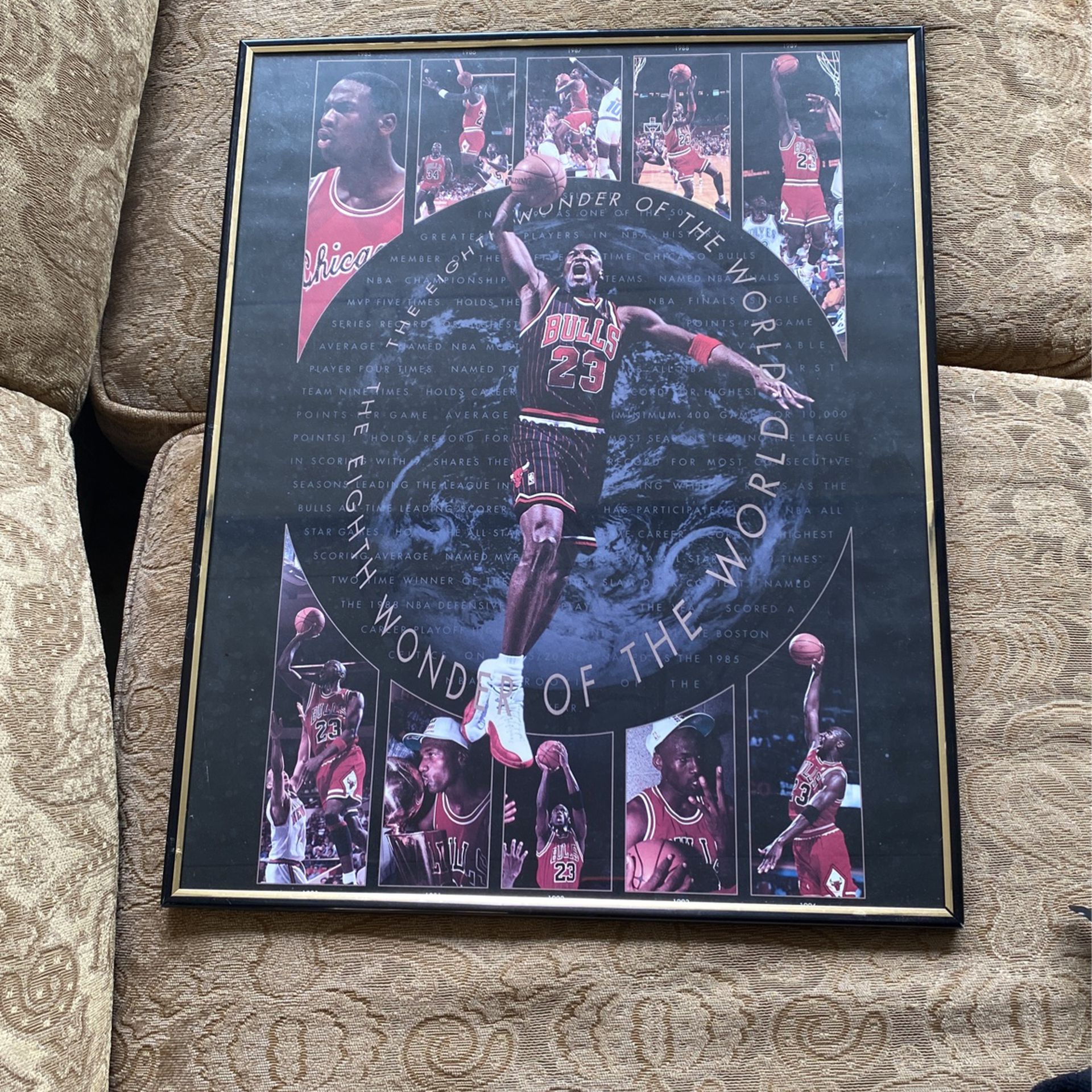 Michael Jordan Chicago Bulls 8th Wonder Poster Framed 16x20