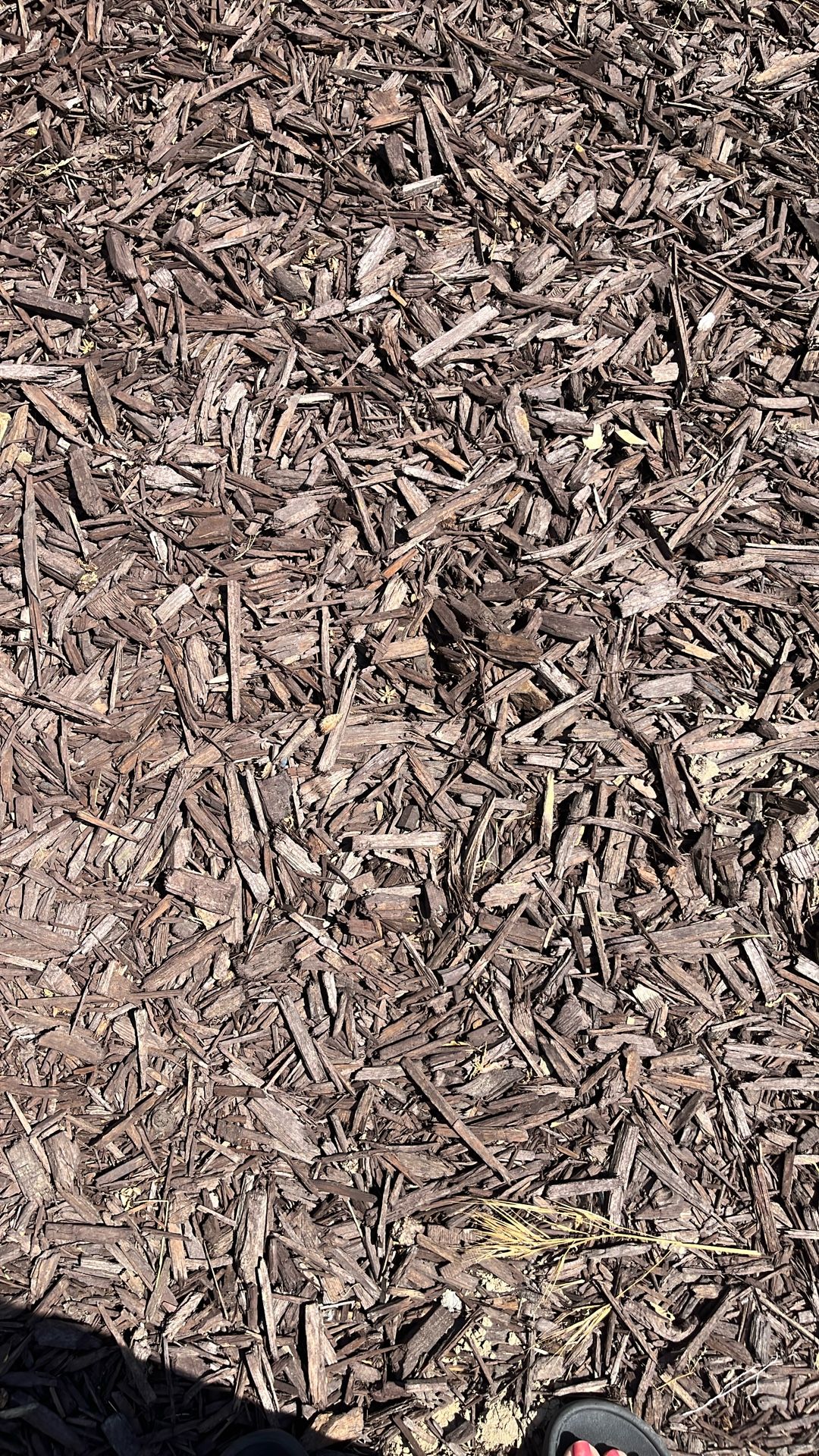 Wood chips