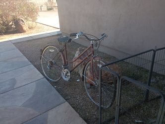Schwinn bicycle