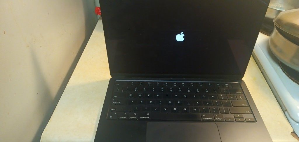 Apple MacBook A3113