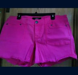 Torrid brand new Short pink 🩷