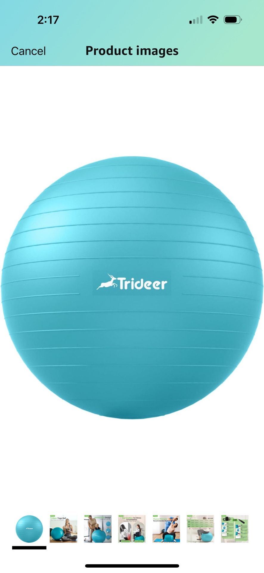 65cm Exercise ball