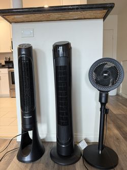 Fans