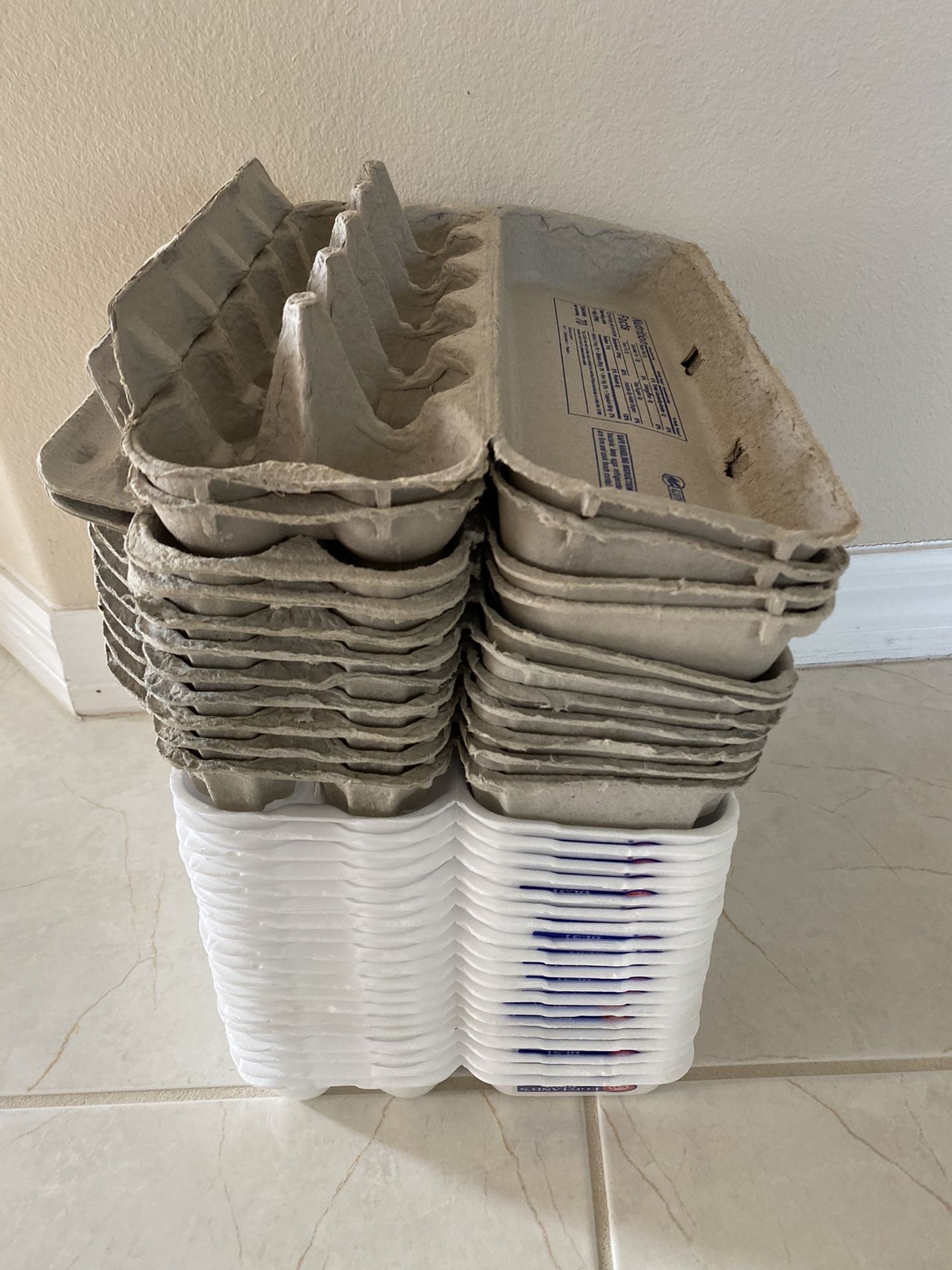 100 egg cartons