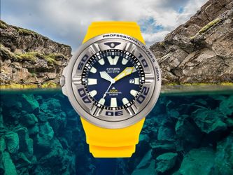 Citizen Ecozilla divers
