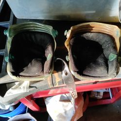 Knee Pads