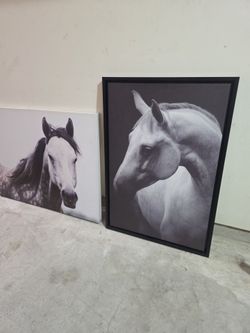 Horse canvas frames