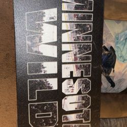 Minnesota Wild Canvas