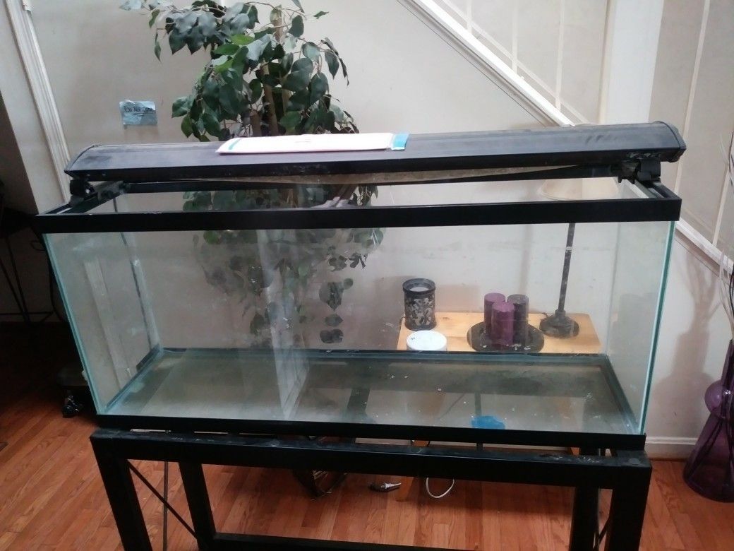 Fish tank