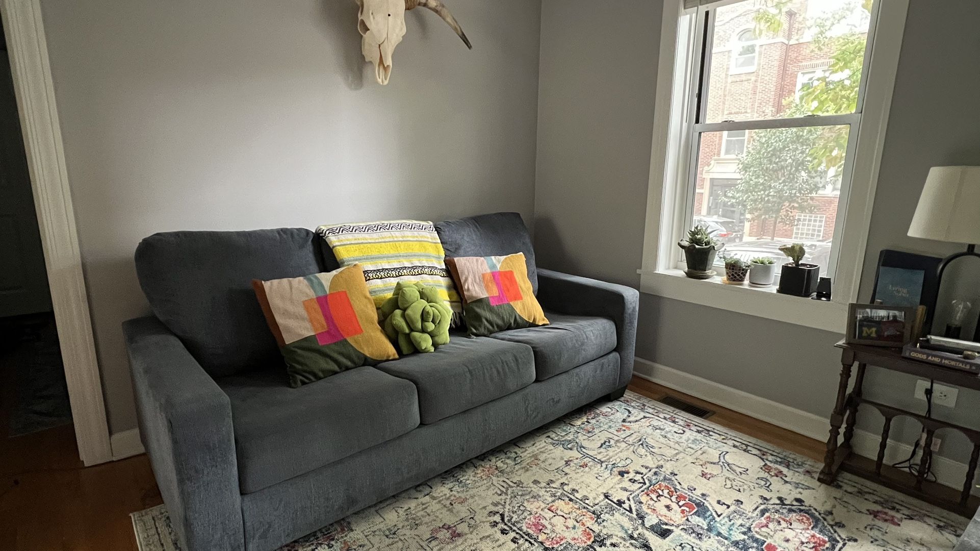 Sleep Sofa