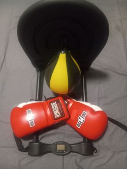 Ringside Boxing Speed Bag Set with Gloves