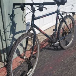 Trek Antelope 800