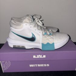 LEBRON WITNESS VIII