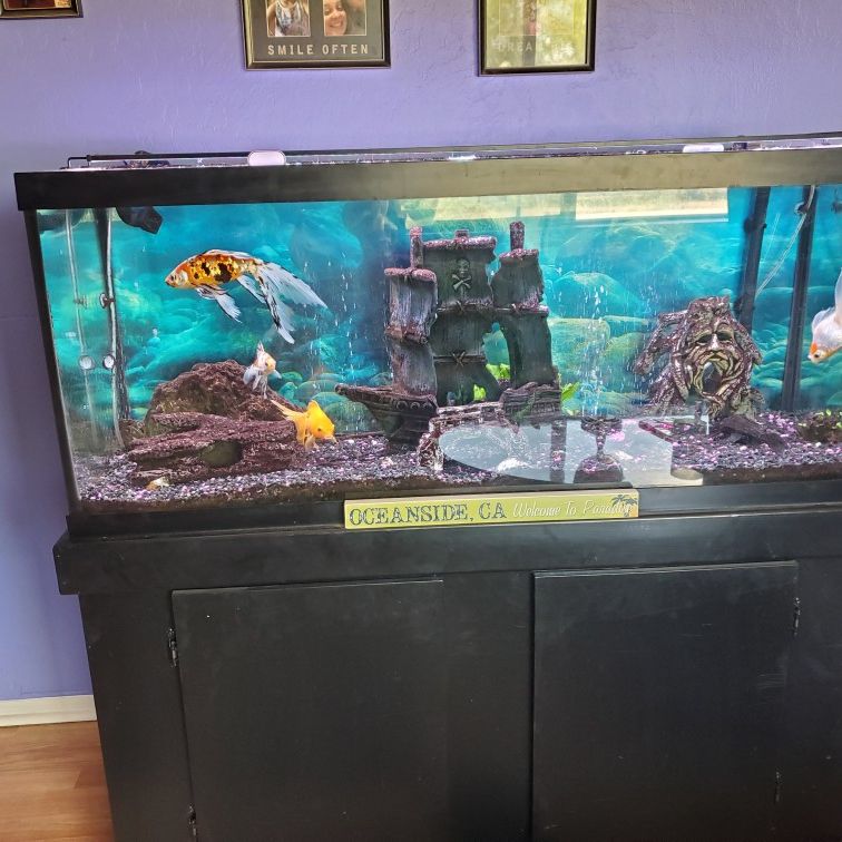 75 Gallon Fish Tank Aquarium 