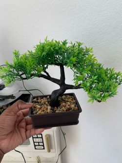 Mini Faux plant